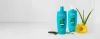 Altamoda-Detox-Purify-2025