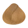 9.3 Louro Claríssimo Dourado